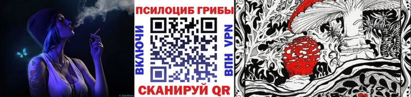 ссылка на мегу ссылки Котово Псилоцибиновые грибы прущие грибы купить наркотик