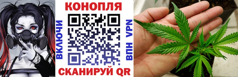 Бошки марихуана Bruce Banner  площадка формула  Котово 